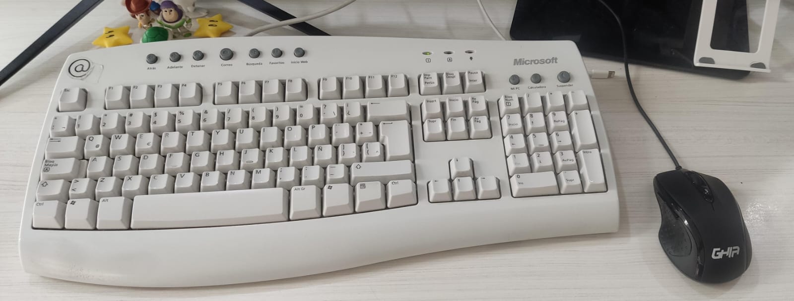 Imagen de WhatsApp 2024-06-03 a las 14.46.12_1d2d1328